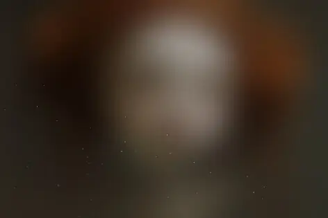 Квест «Затерянные в Зазеркалье» от Razoom